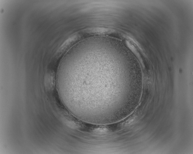 X0000058780119200510031030