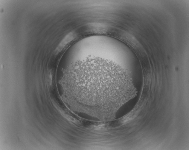 X0000058780120200510031030