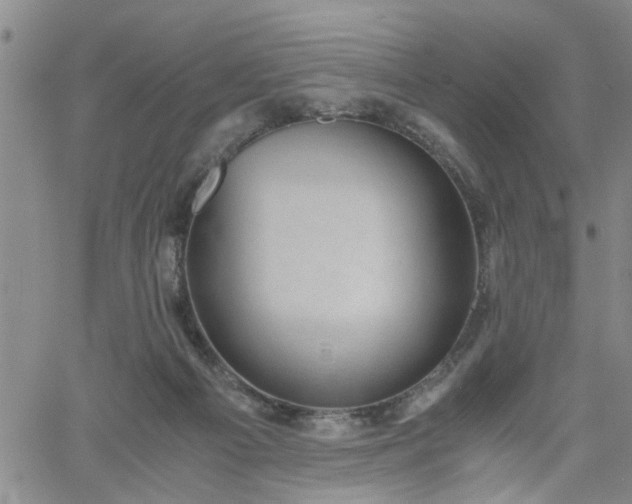 X0000058780121200510031030