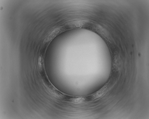 X0000058780122200510031030