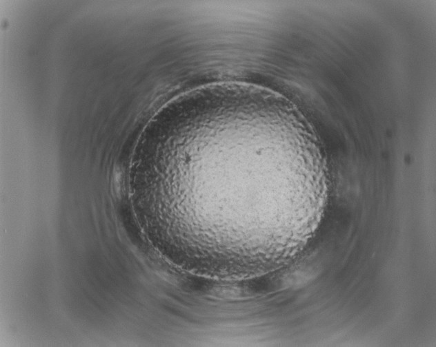 X0000058780123200510031030