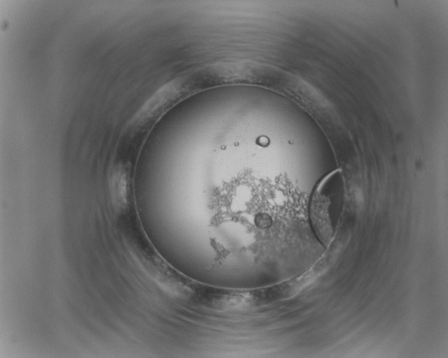 X0000058780124200510031030