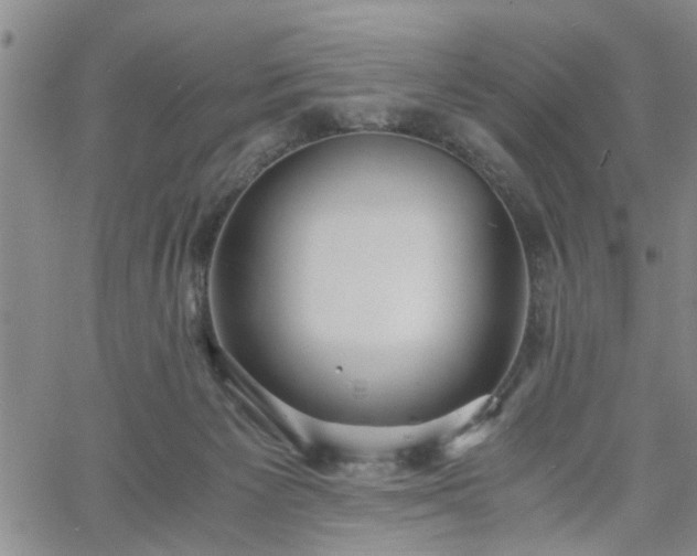 X0000058780125200510031030