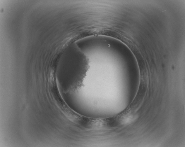 X0000058780127200510031030