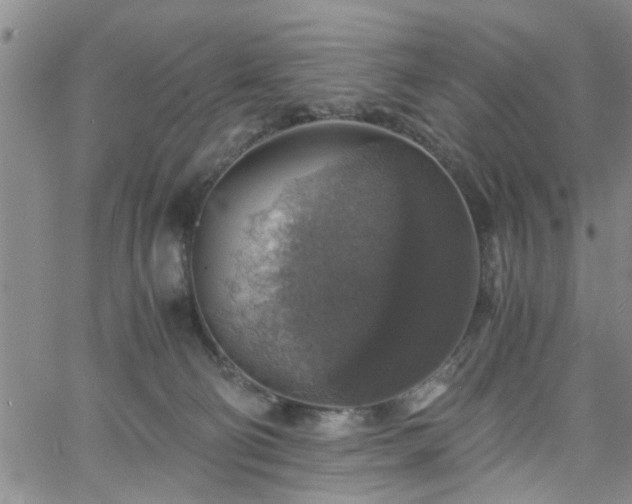 X0000058780130200510031030