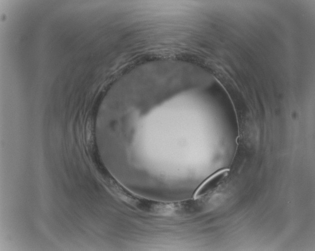 X0000058780131200510031030