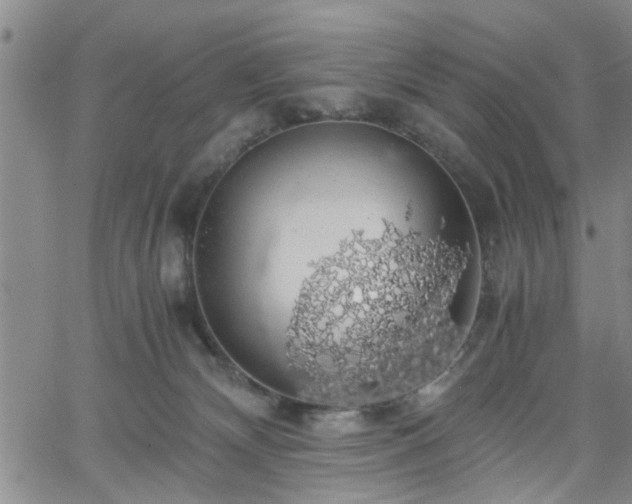 X0000058780132200510031030