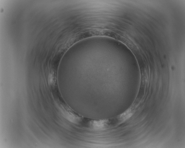 X0000058780134200510031030