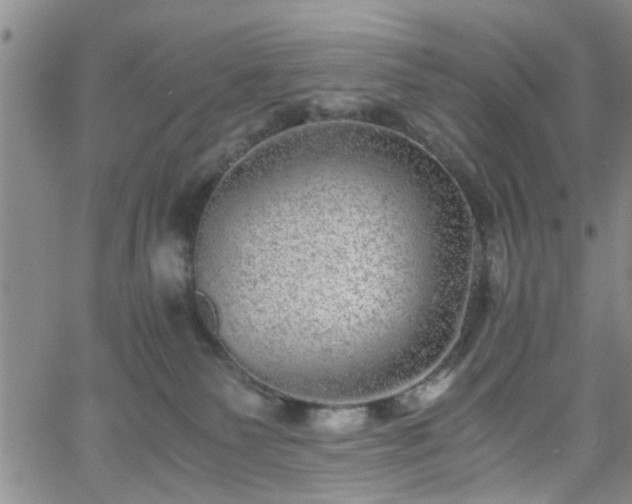 X0000058780135200510031030