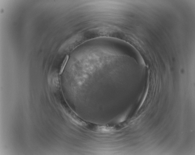 X0000058780137200510031030