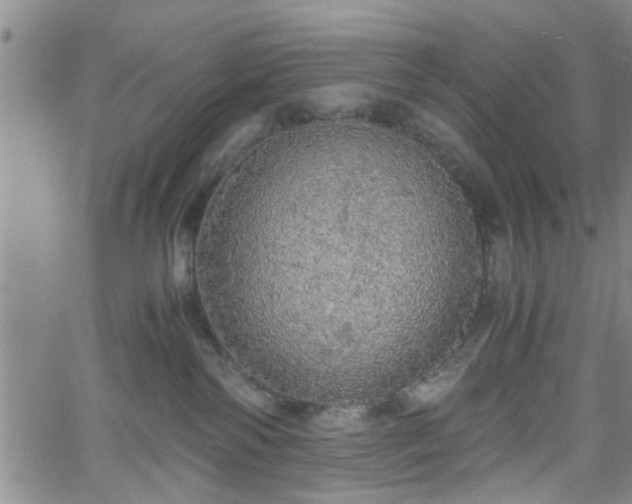 X0000058780138200510031030