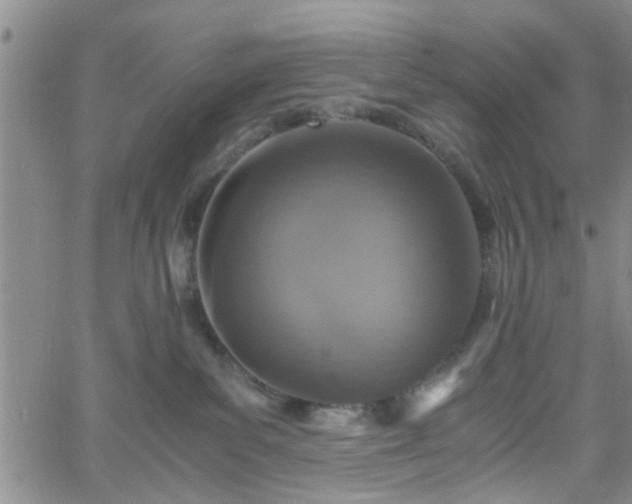 X0000058780139200510031030