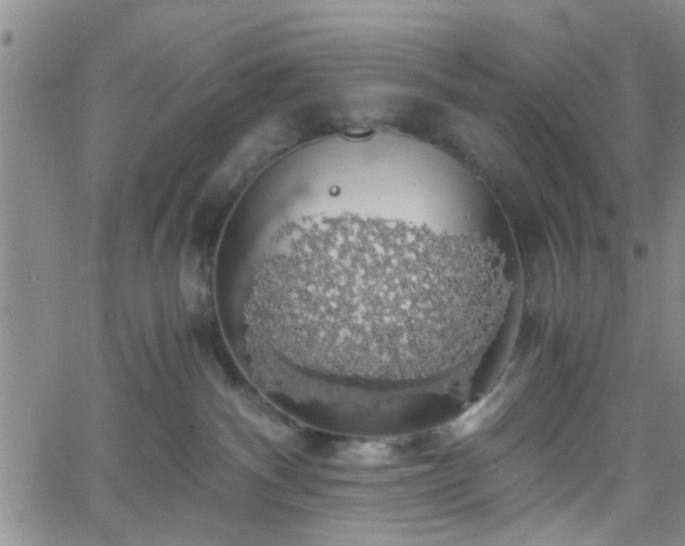 X0000058780140200510031030