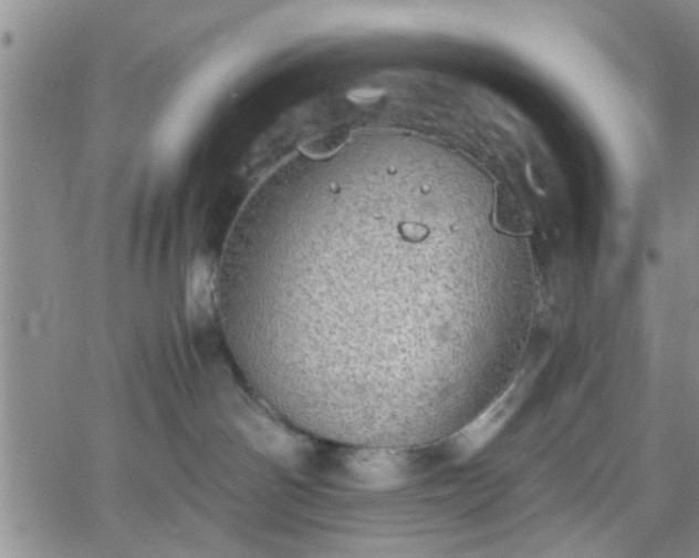 X0000058780142200510031030