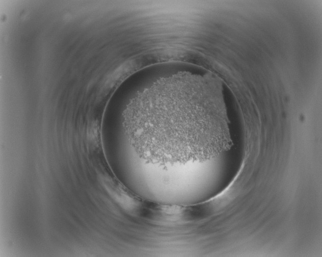 X0000058780144200510031030