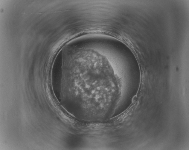 X0000058780145200510031029