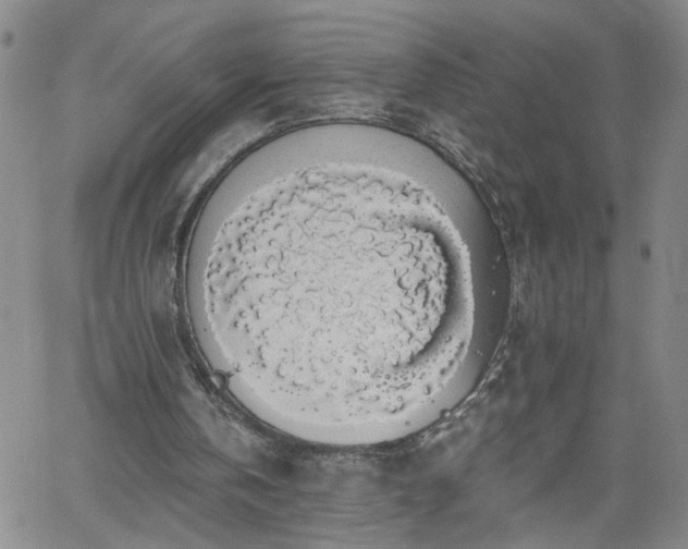 X0000058780146200510031029