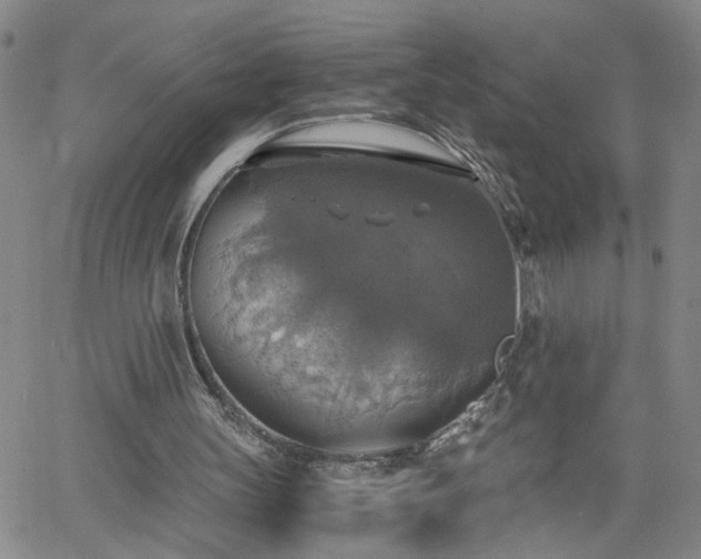 X0000058780147200510031029