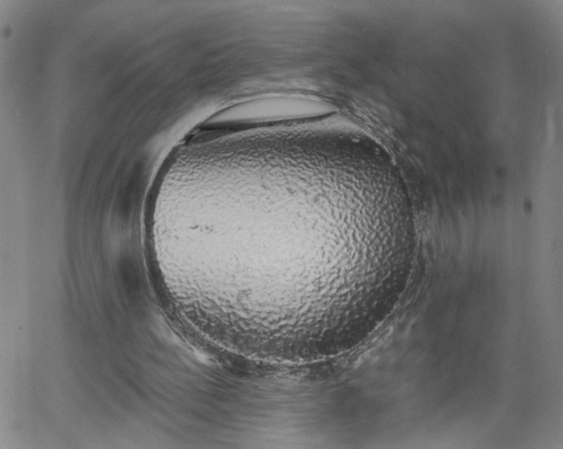 X0000058780148200510031029