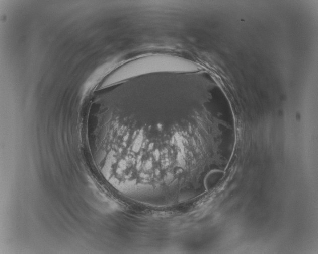 X0000058780149200510031029