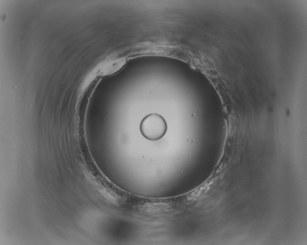 X0000058780150200510031029