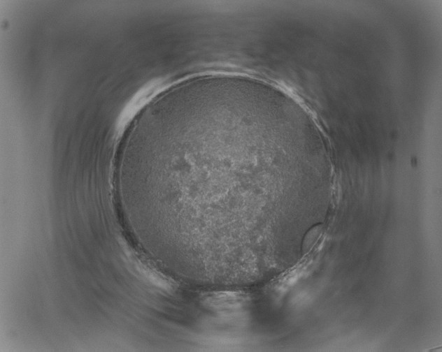 X0000058780151200510031029