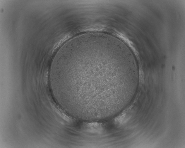 X0000058780153200510031029