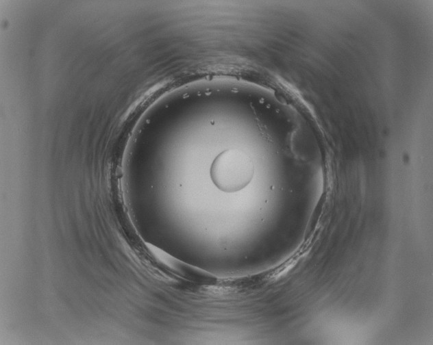 X0000058780154200510031029