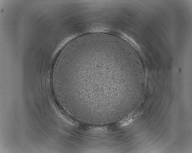 X0000058780155200510031029