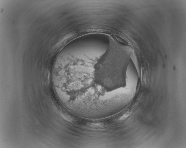 X0000058780157200510031029