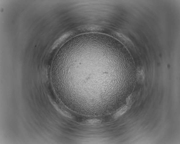 X0000058780158200510031029