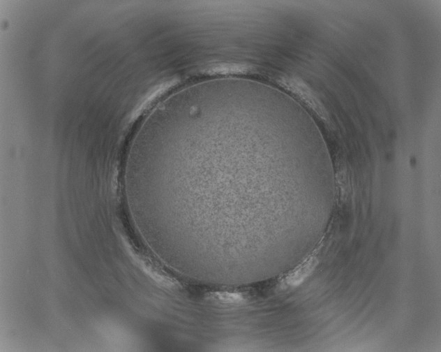 X0000058780159200510031029