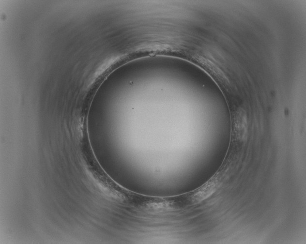 X0000058780160200510031029