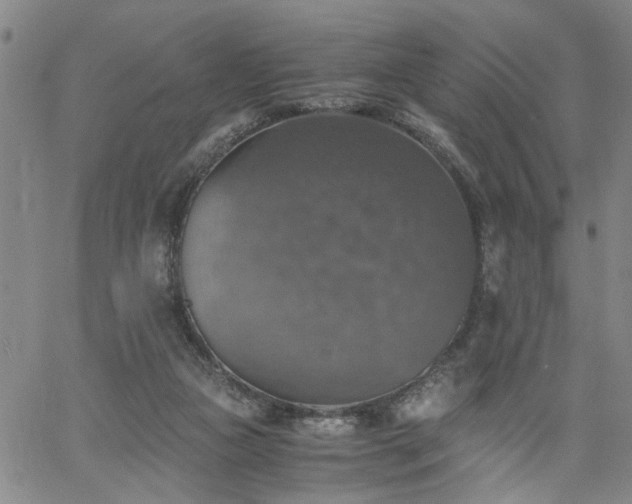 X0000058780161200510031029