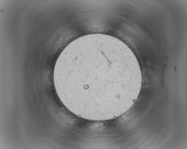 X0000058780162200510031029