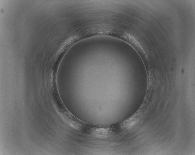 X0000058780163200510031029