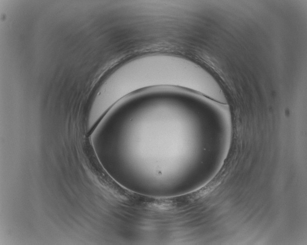 X0000058780164200510031029