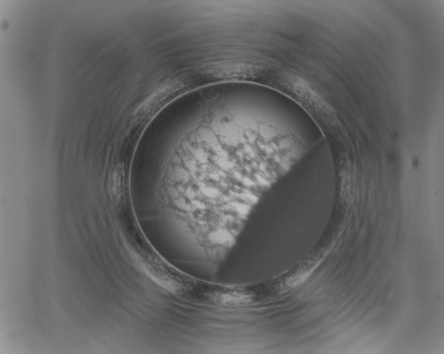 X0000058780165200510031029