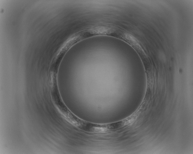 X0000058780167200510031029