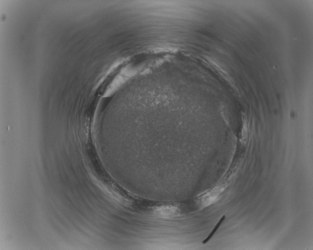 X0000058780168200510031029