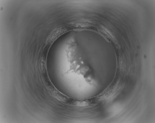 X0000058780169200510031029