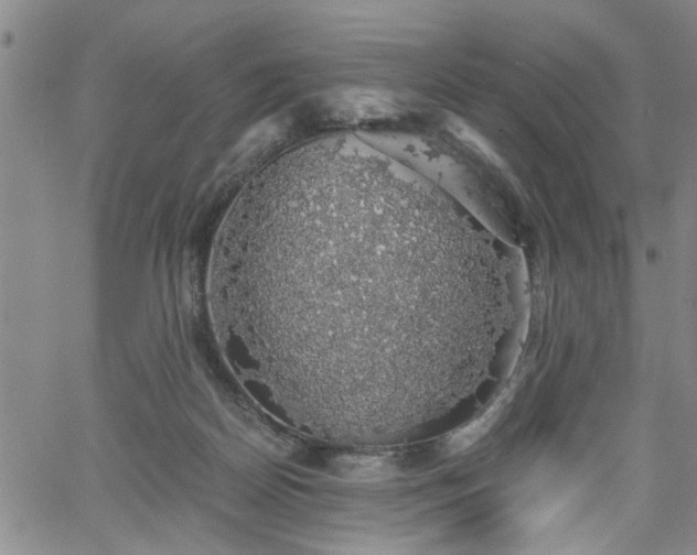 X0000058780170200510031029