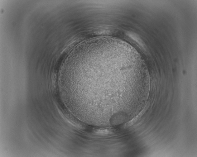 X0000058780171200510031029