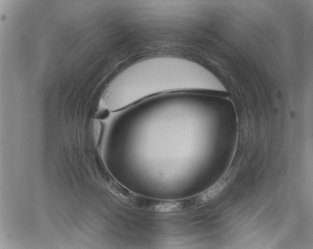 X0000058780172200510031029