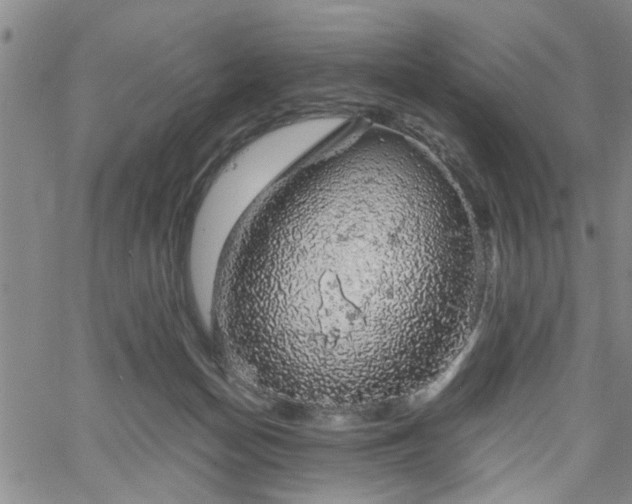 X0000058780174200510031029