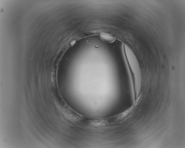 X0000058780175200510031029