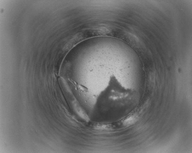 X0000058780177200510031029