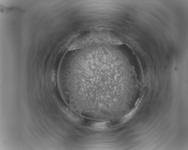 X0000058780178200510031029