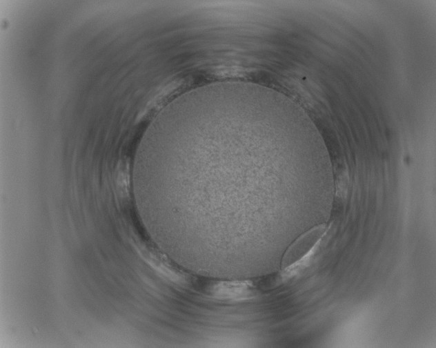 X0000058780179200510031029