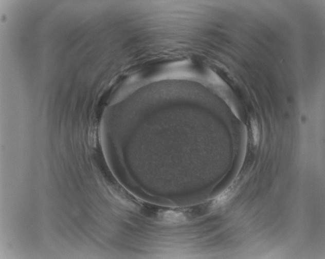 X0000058780180200510031029